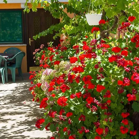 Stefanovski Paradiso Apartamento