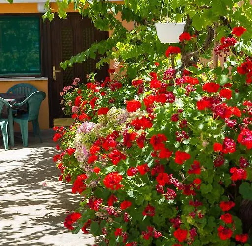 Stefanovski Paradiso Lejlighed